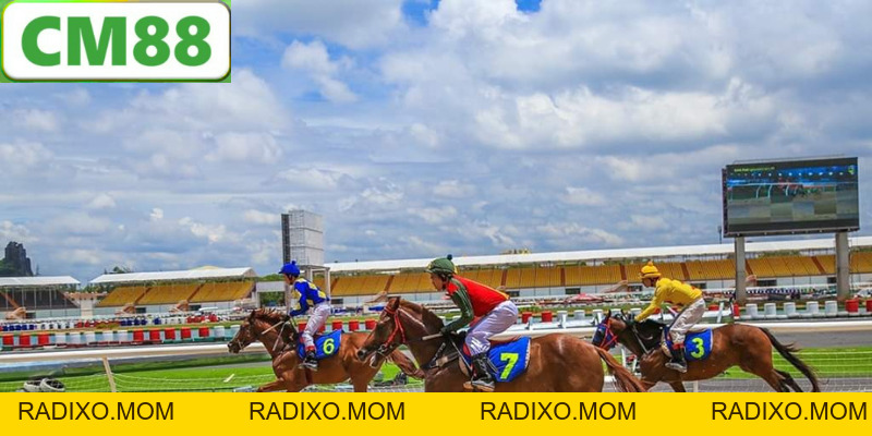 Cá Cược Đua Ngựa CM88 - Phương Pháp và Những Điều Cần Biết - radixo