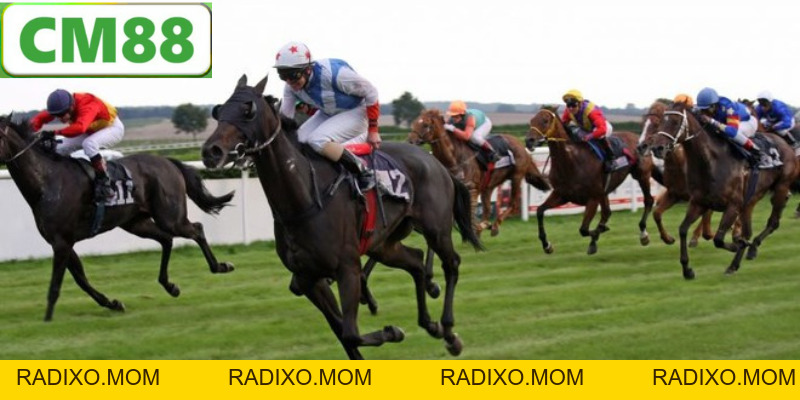 Cá Cược Đua Ngựa CM88 - Phương Pháp và Những Điều Cần Biết - radixo