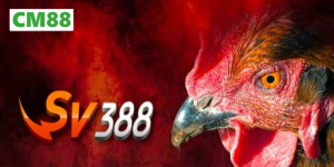 CM88 2026 – CM88.COM Chính Thức | Ưu Đãi Giới Thiệu Bạn Bè 200K - radixo