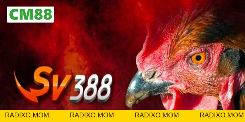Đá gà SV388 – Nền Tảng Cá Cược Gà Trực Tuyến Uy Tín Nhất - radixo
