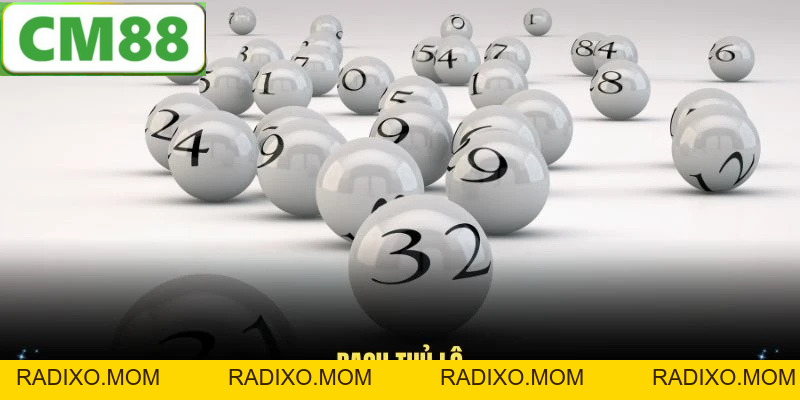 Bạch Thủ Lô - Cách Chơi Và Kinh Nghiệm Hữu Ích Tại CM88 - radixo