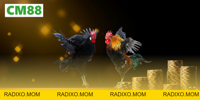 Đá gà SV388 – Nền Tảng Cá Cược Gà Trực Tuyến Uy Tín Nhất - radixo